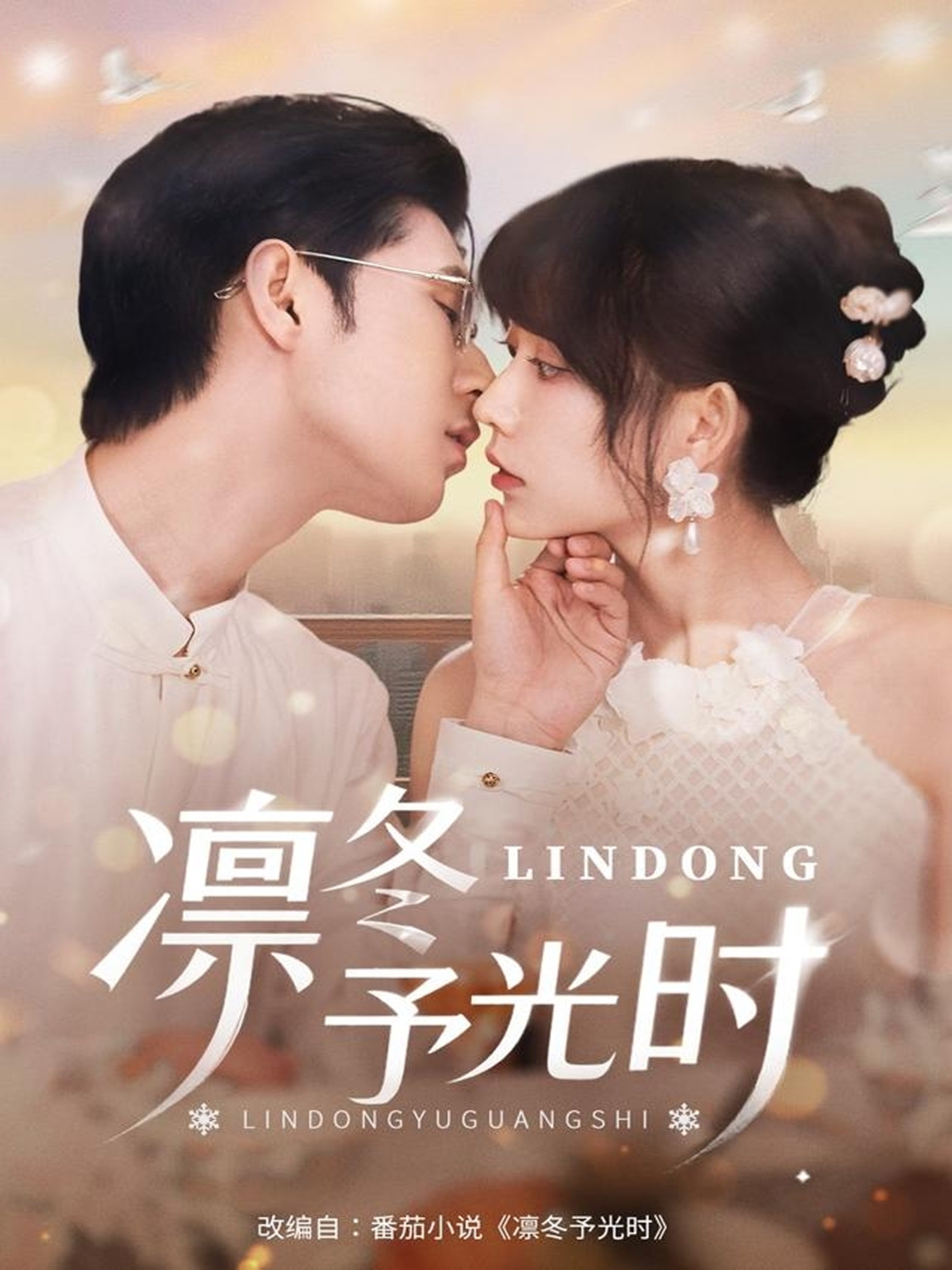 凛冬予光时第11集