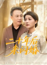 二十年后来闪婚第02集