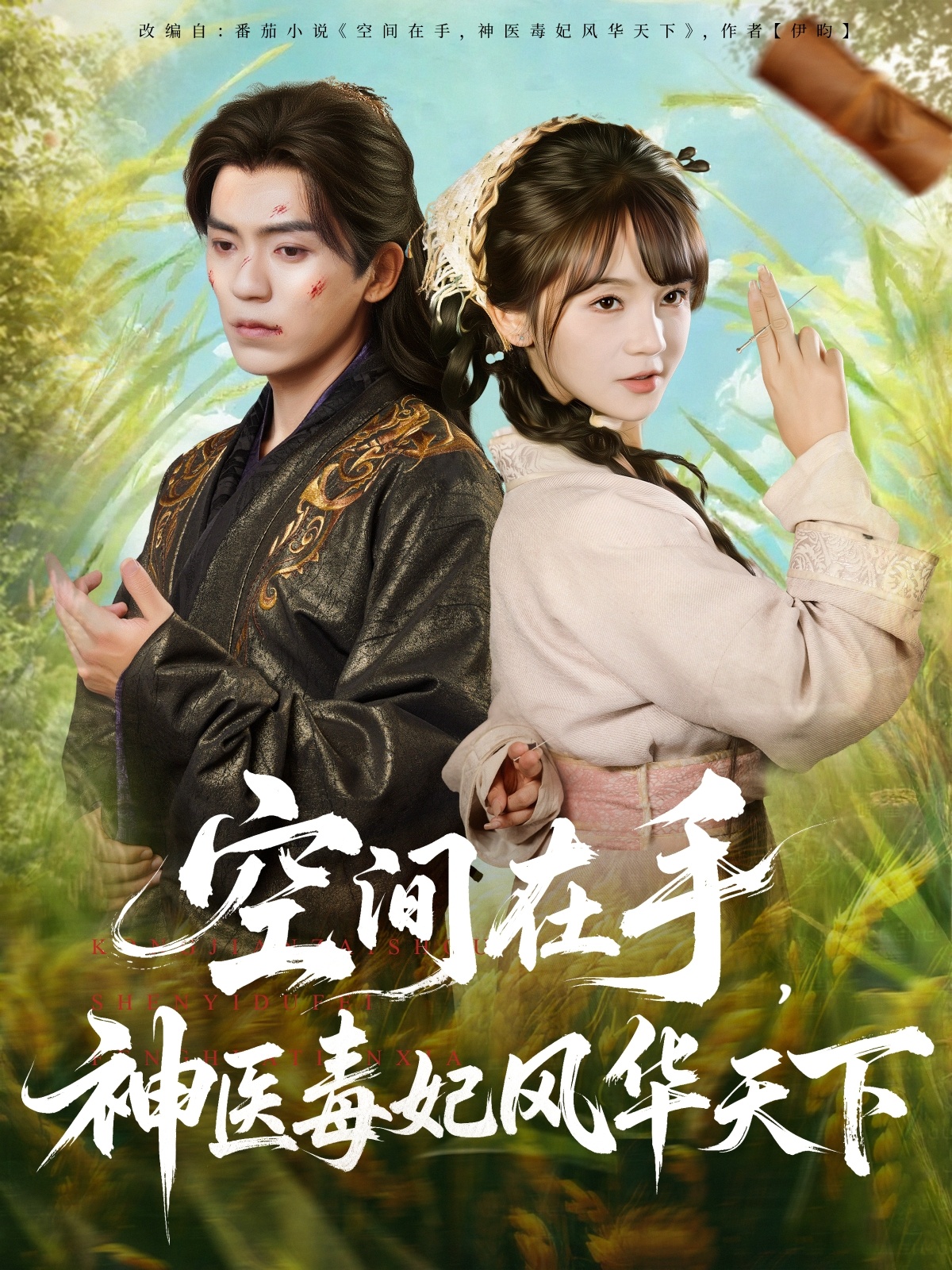 空间在手，神医毒妃风华天下第02集