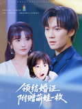 领结婚证附赠萌娃一枚第22集