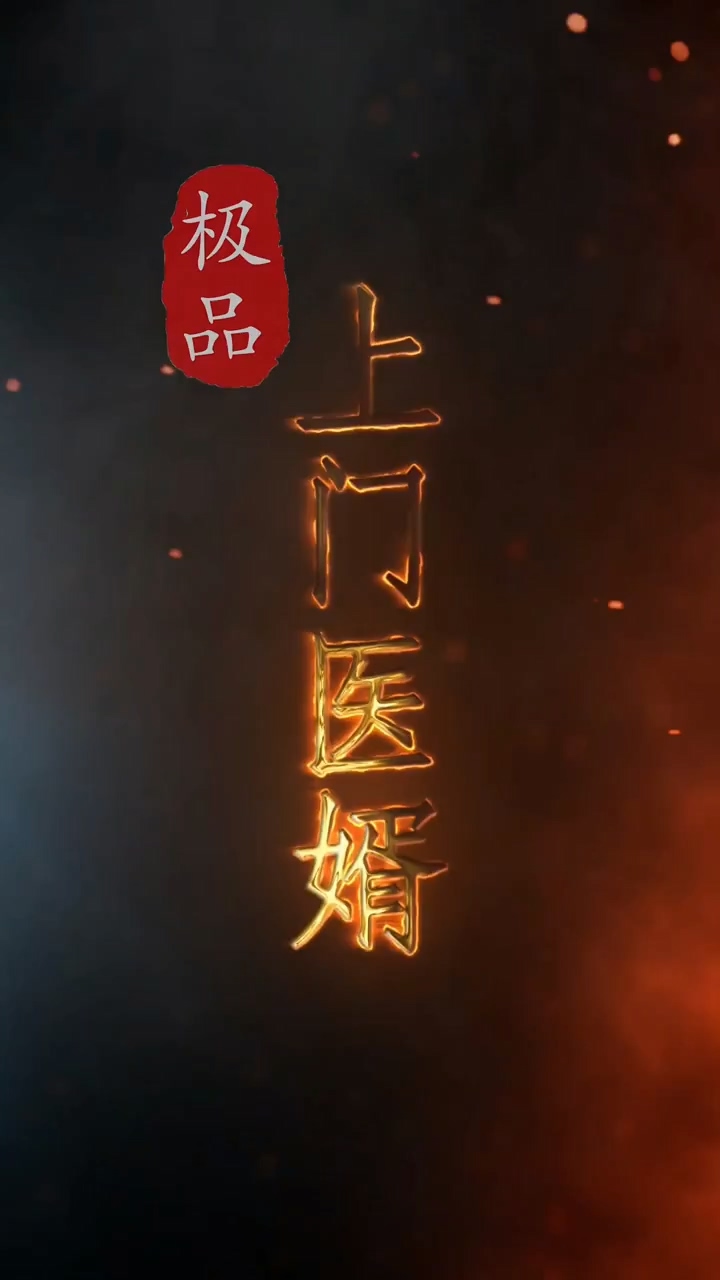 极品上门医婿第03集